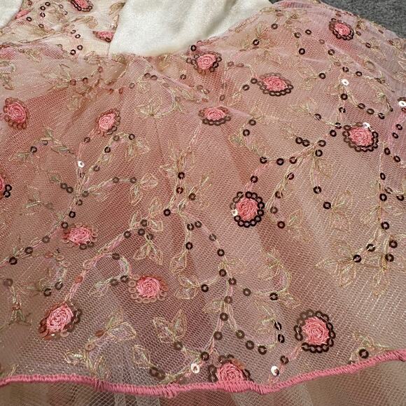 Revolution Dance Costume Tutu Size MC Style # RC25796 Beige Pink Embroidered - Picture 3 of 10